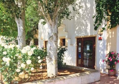 can_oliver_entrada2