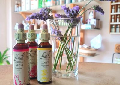 can_oliver_prodcutos3